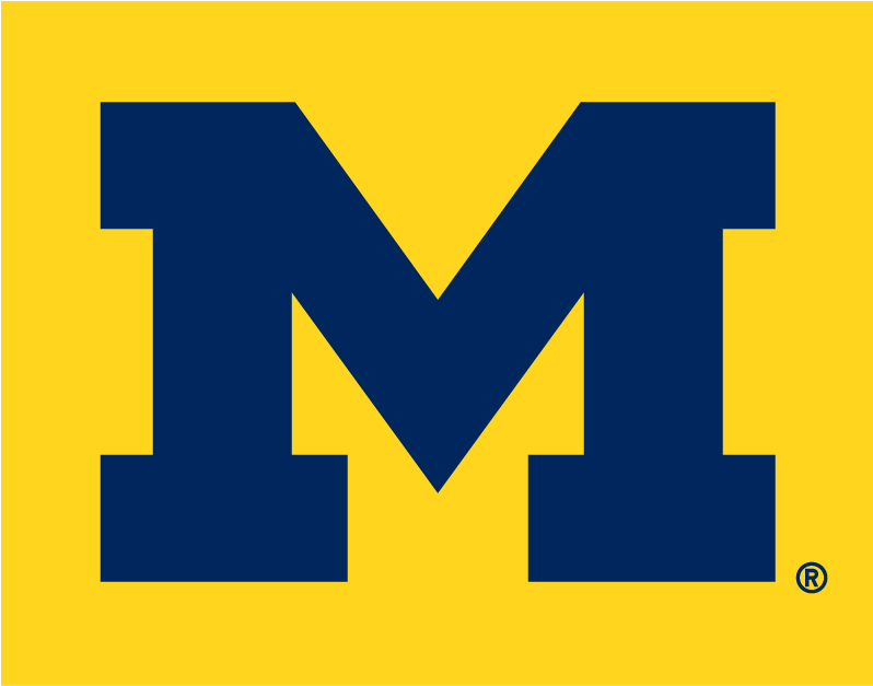 Michigan Wolverines 1996-Pres Alternate Logo v4 iron on transfers for clothing